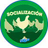 Alimentación